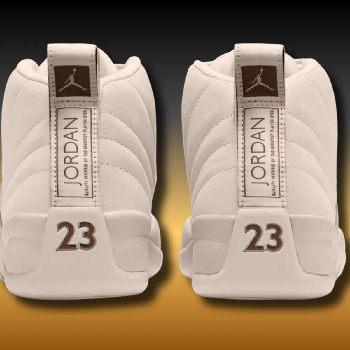 jordan 12 ovo black and white