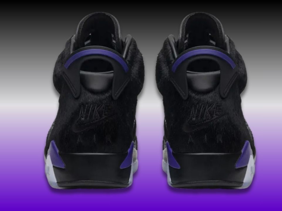 jordan 6 horse hair