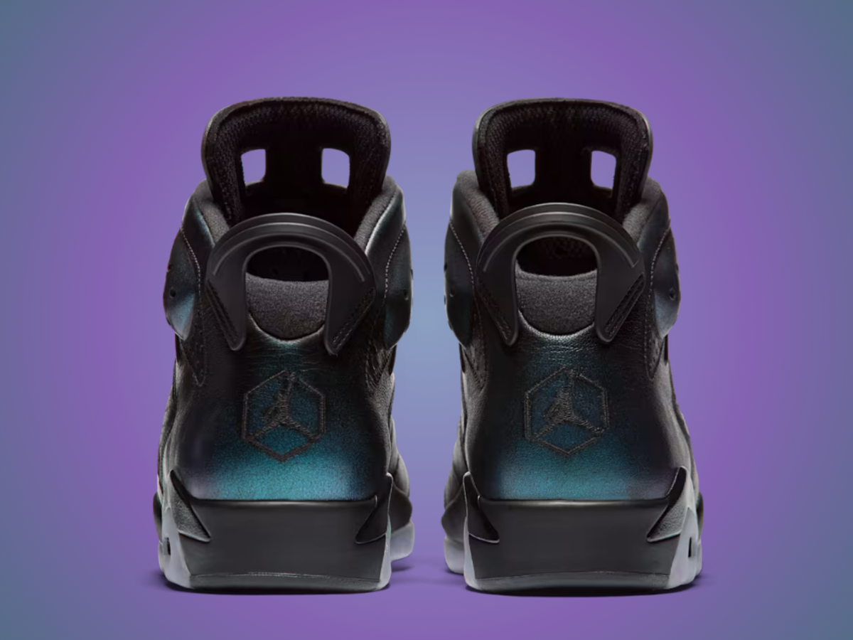 aj6 chameleon