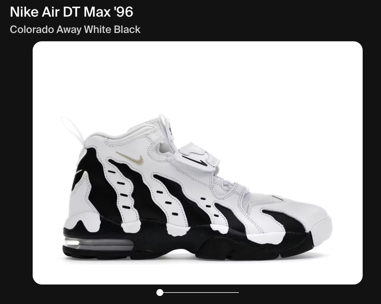 Nike air dt max ケンドリックラマー　28センチ　ナイキエアー ケンドリックラマー着用 スーパーボウル Nike Air DT Max 96