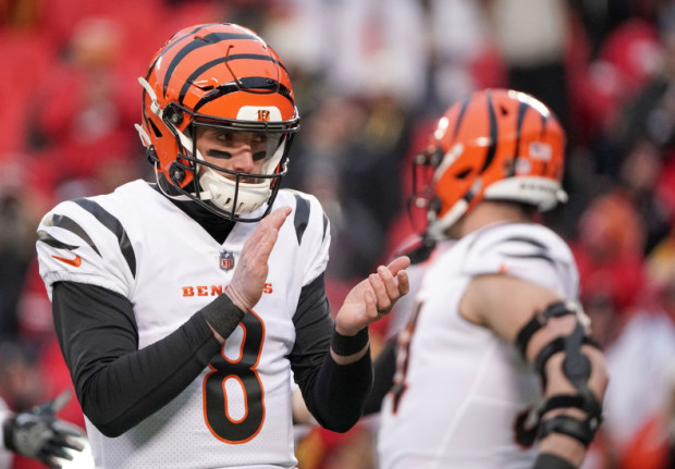 Former Bengals QB Brandon Allen agrees to terms with 49ers: Report 