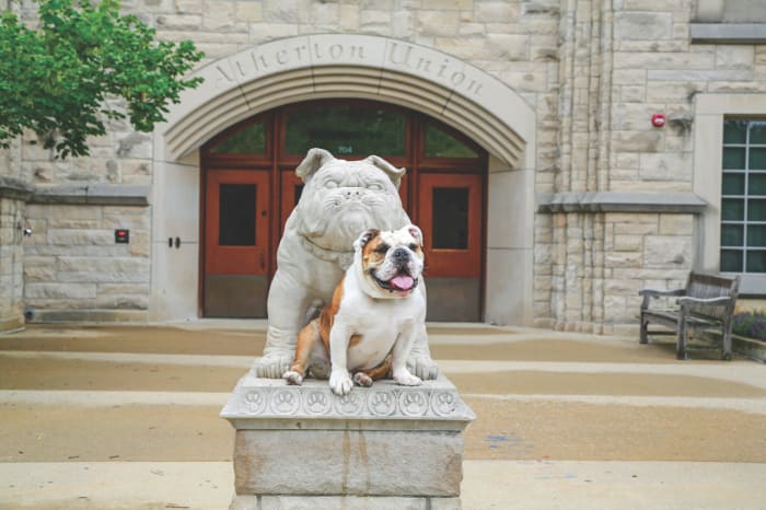 A Day in the Life of Butler Blue, College Basketball's Busiest Mascot ...