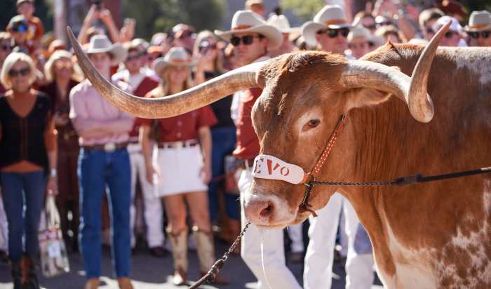 Peach Bowl Makes Final Decision on Texas Mascot Bevo Attending CFP Game ...