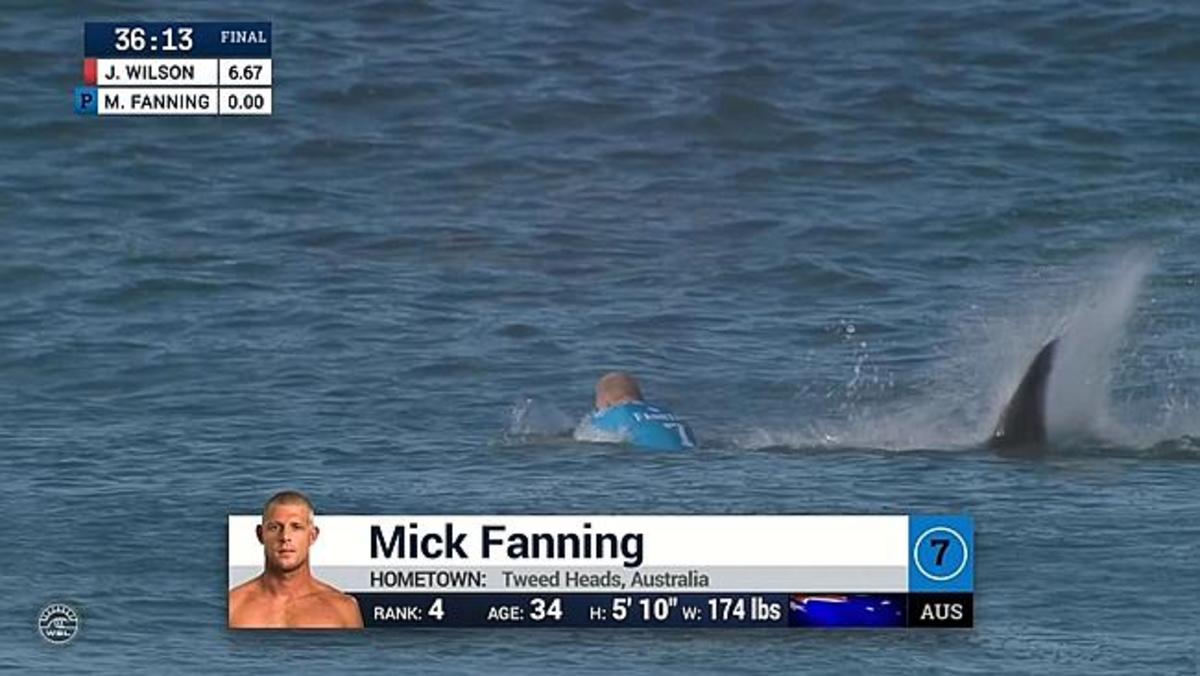 Surfer Mick Fanning Survives Shark Attack During Competition