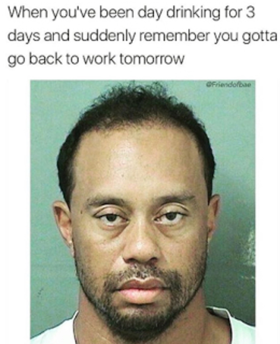 Tiger Woods Mugshot Memes