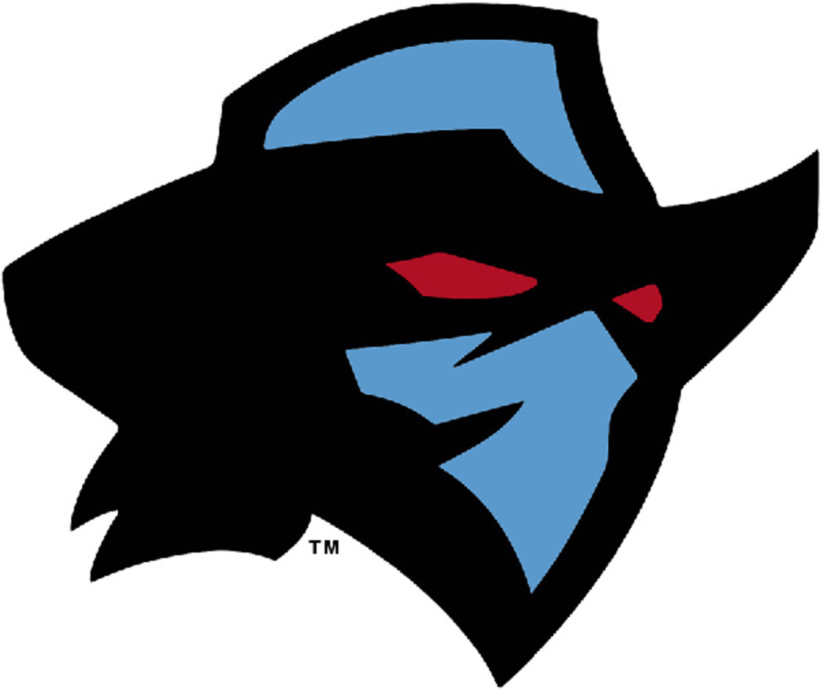 Dallas Renegades logo