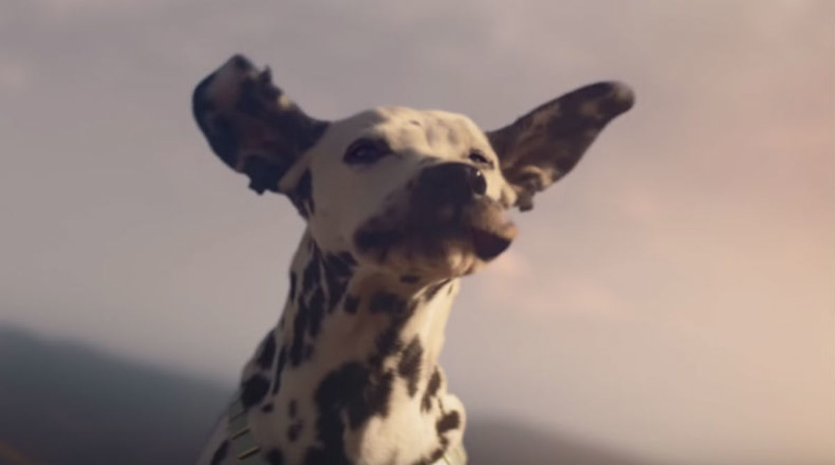 Budweiser's Super Bowl Commercial Features a Dog