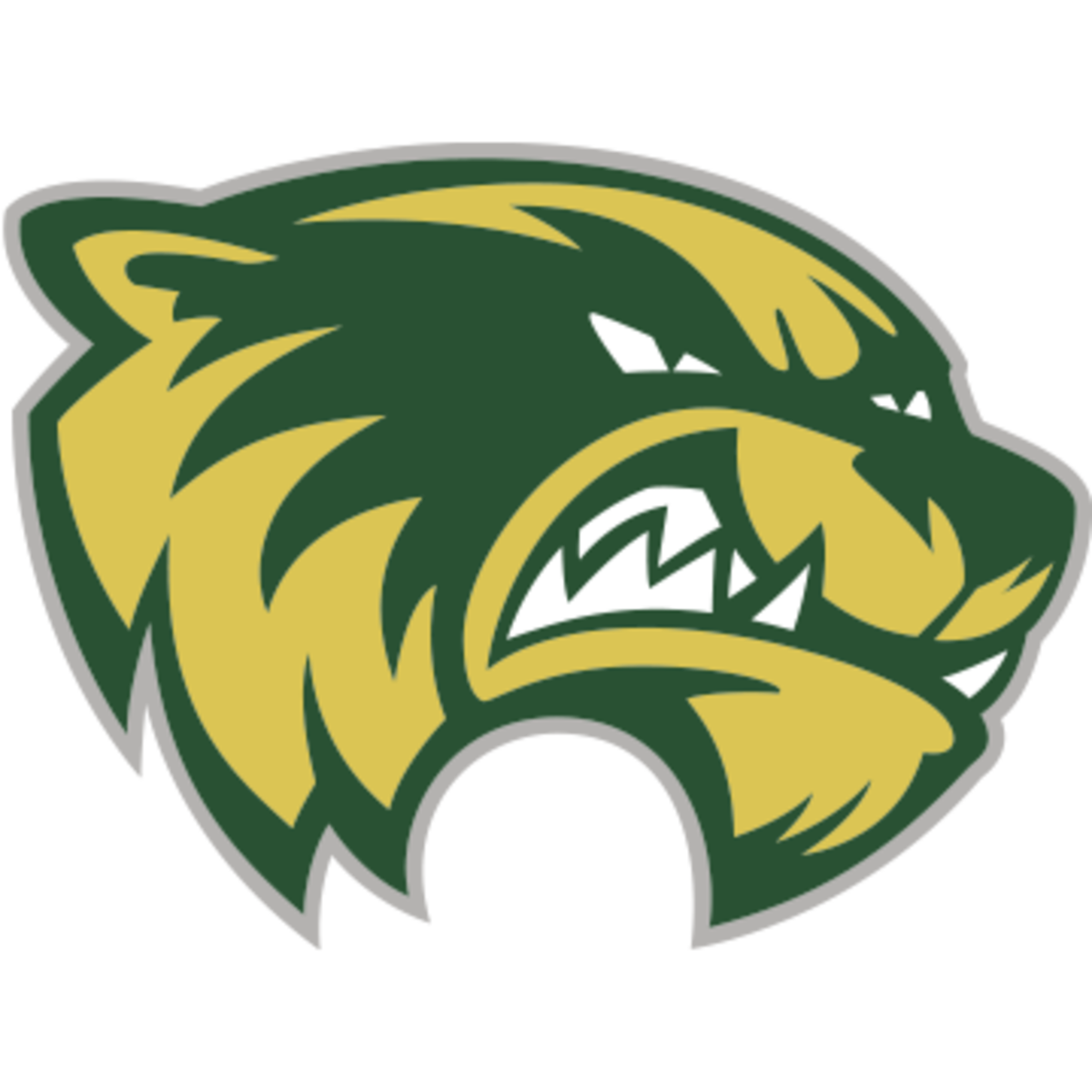 Utah Valley Wolverines - Athlon Sports