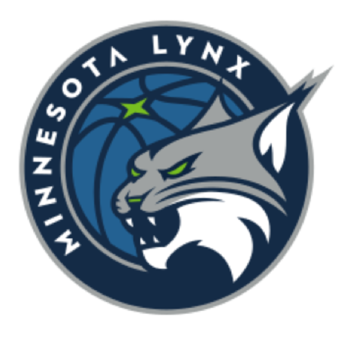 Minnesota lynx stats