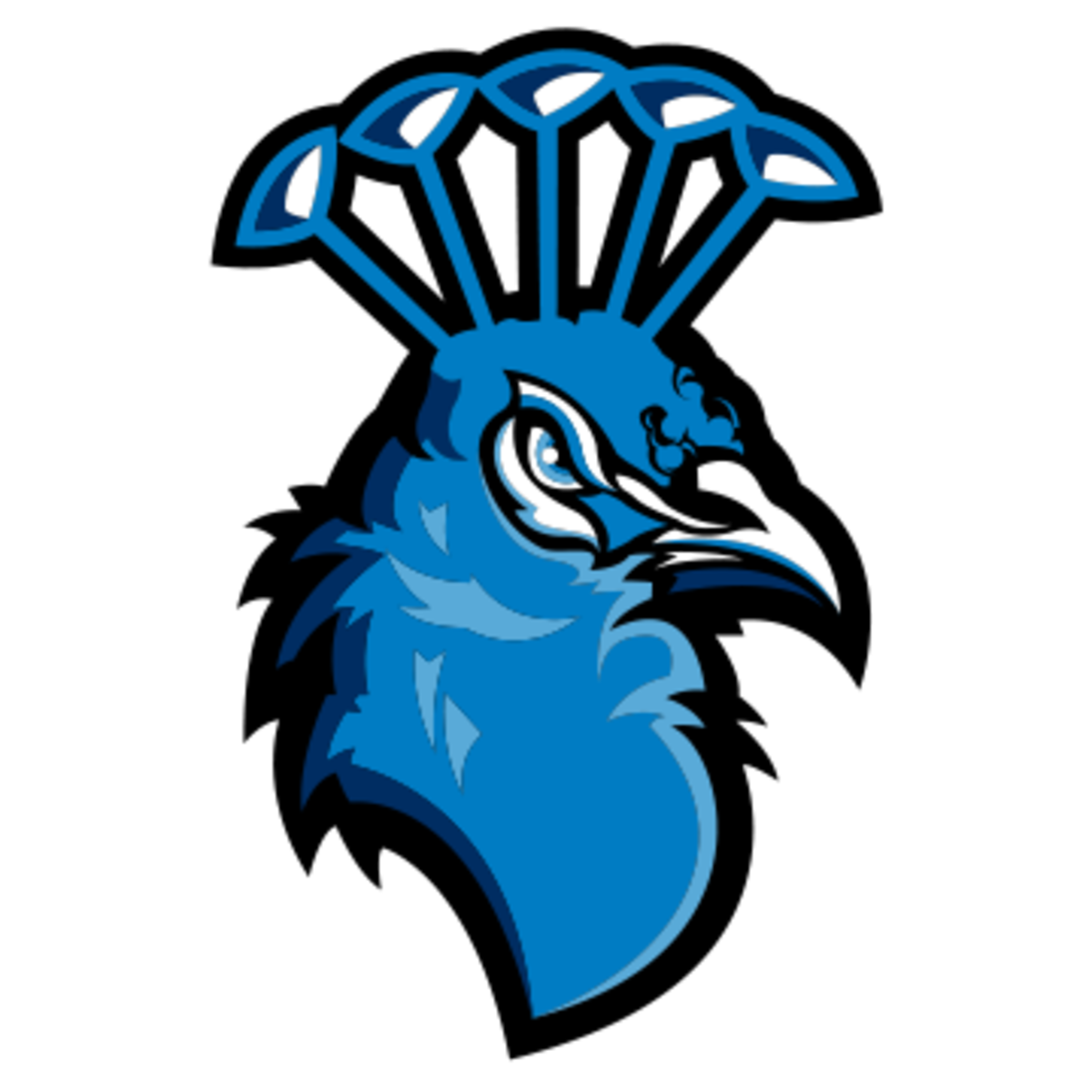 Saint Peter's Peacocks - Athlon Sports