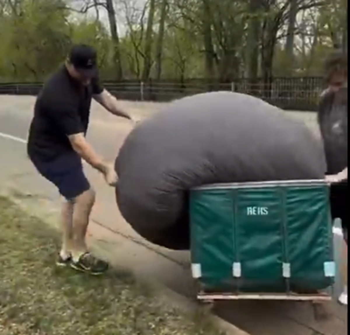 Dan Campbell Performs Dad Duties Well for Daughter in Heartwarming Video - Athlon Sports