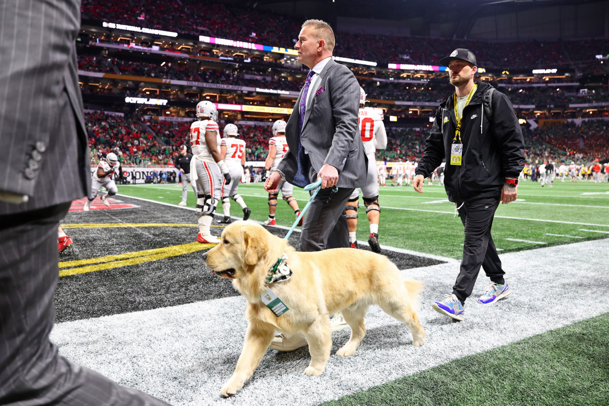 NCAAF News