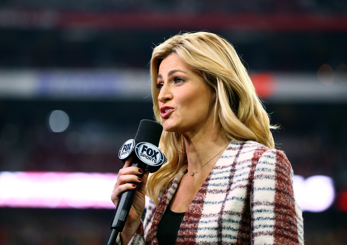 NFL Reporter Erin Andrews' Blunt Response to Fan Calling for Her ...