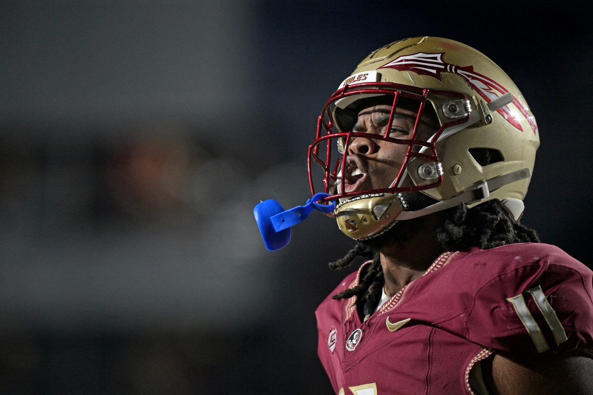 Florida State Seminoles defensive lineman Patrick Payton (11)