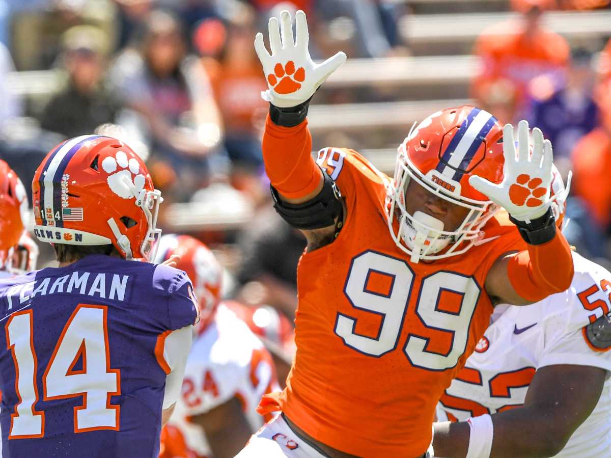 Clemson defensive end A.J. Hoffler