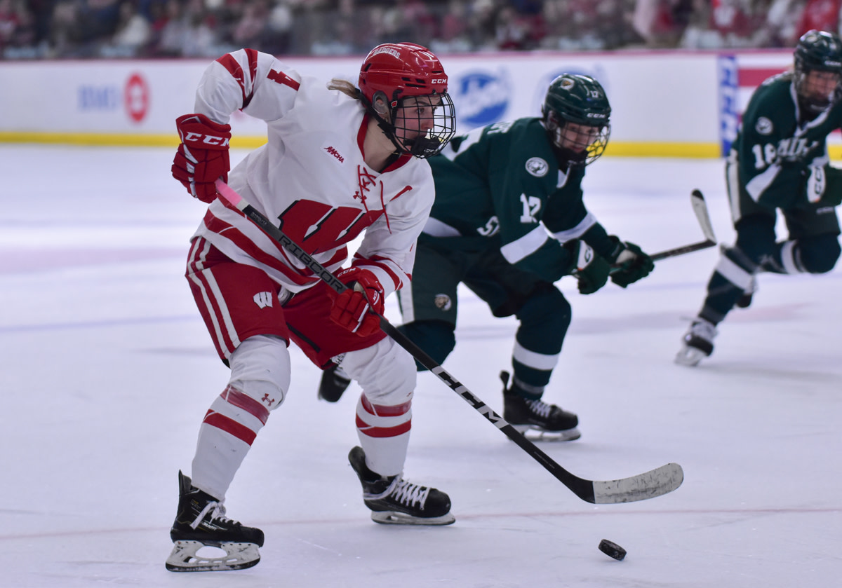 WISCONSIN HOCKEY ASSOCIATION visual data 8