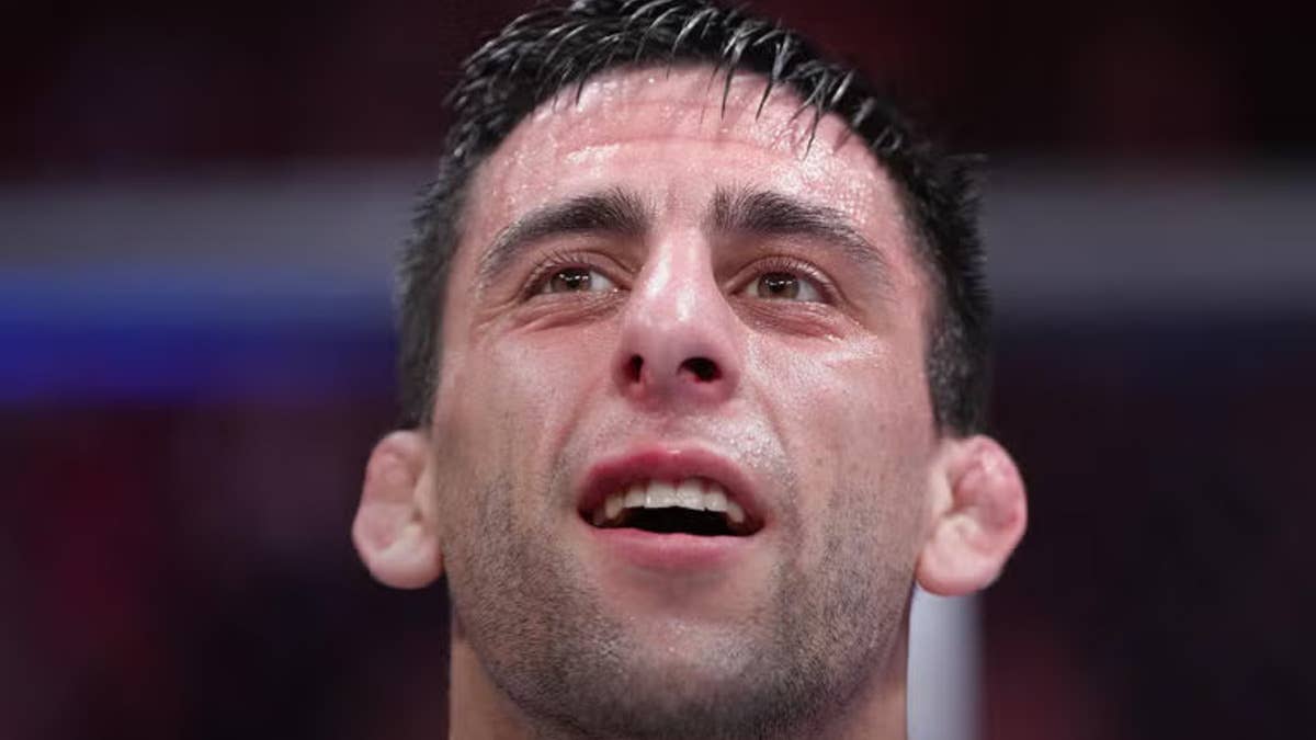 Exclusive: Steve Erceg Predicts Next UFC Flyweight Title Fight, Expects ...