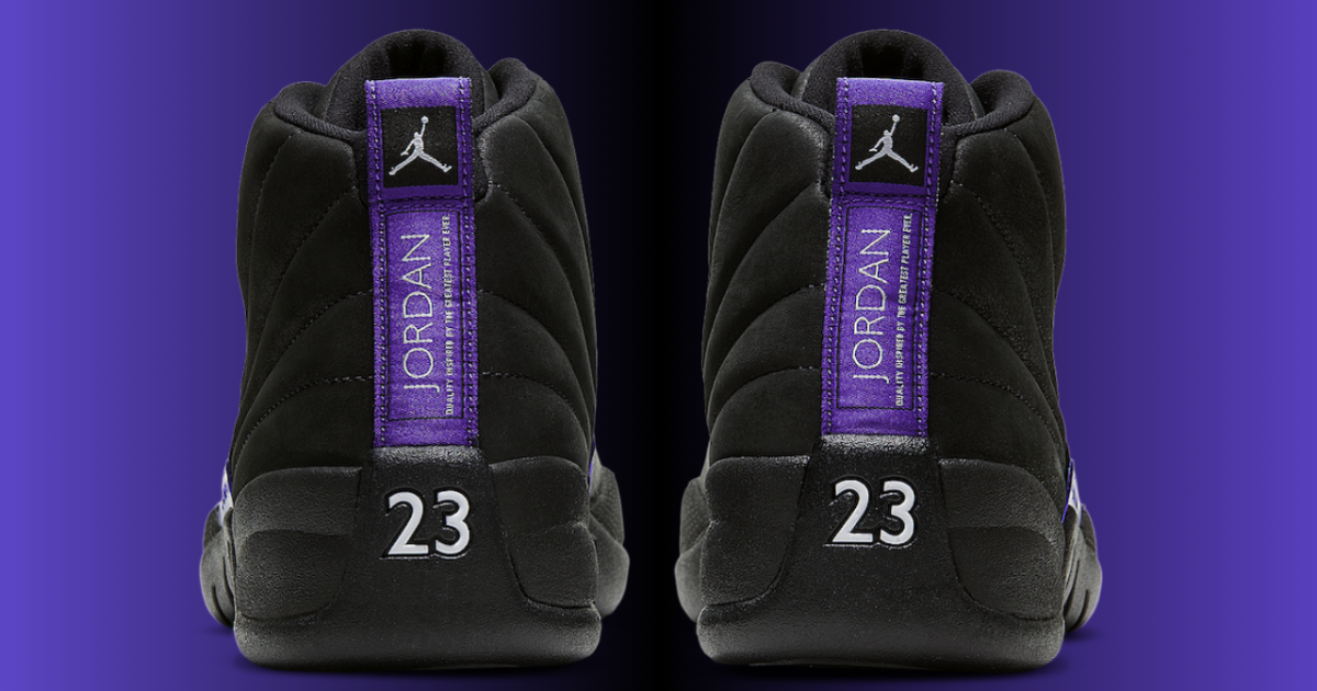 when did the jordan 12 dark concord come out