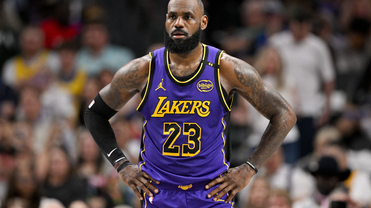 Bear (gay culture) - Wikipedia, image size:1200x675