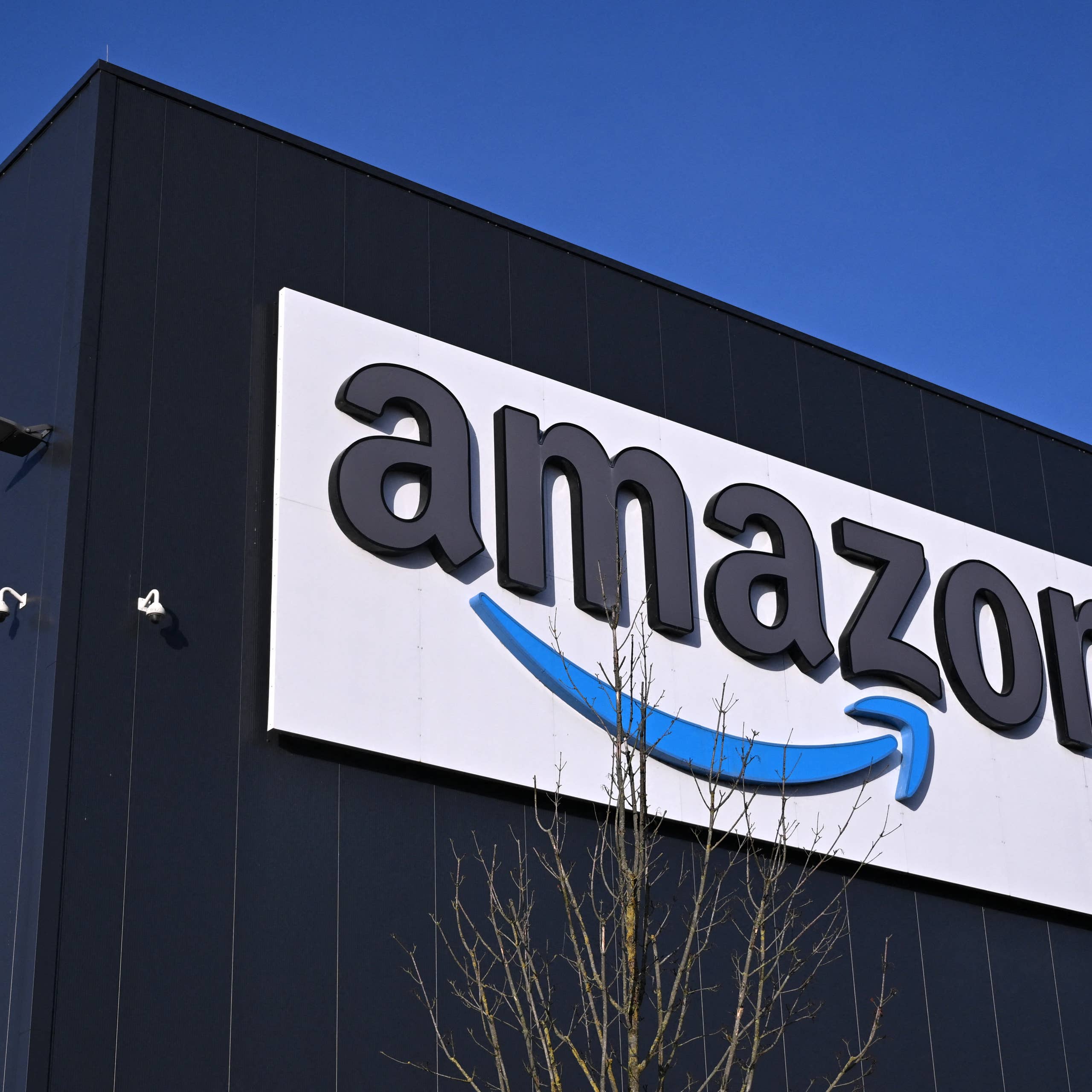 Jaylen Brown Announces Unexpected Jayson Tatum News on Saturday ...