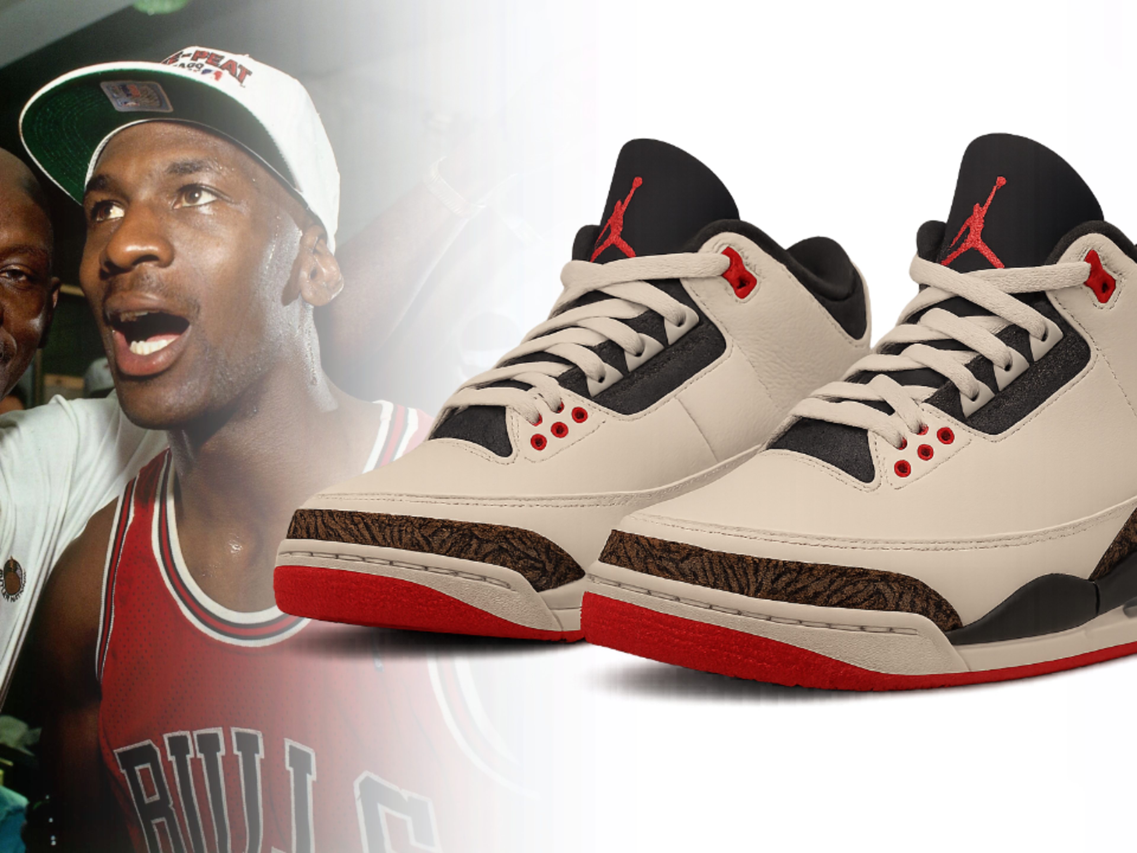 air jordan father's day