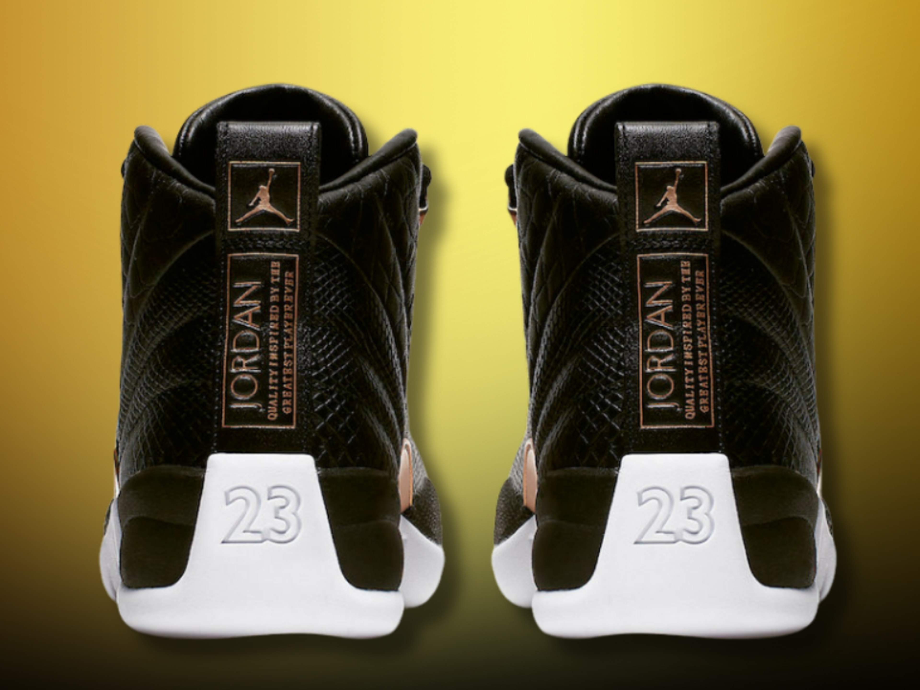 jordan reptile 12