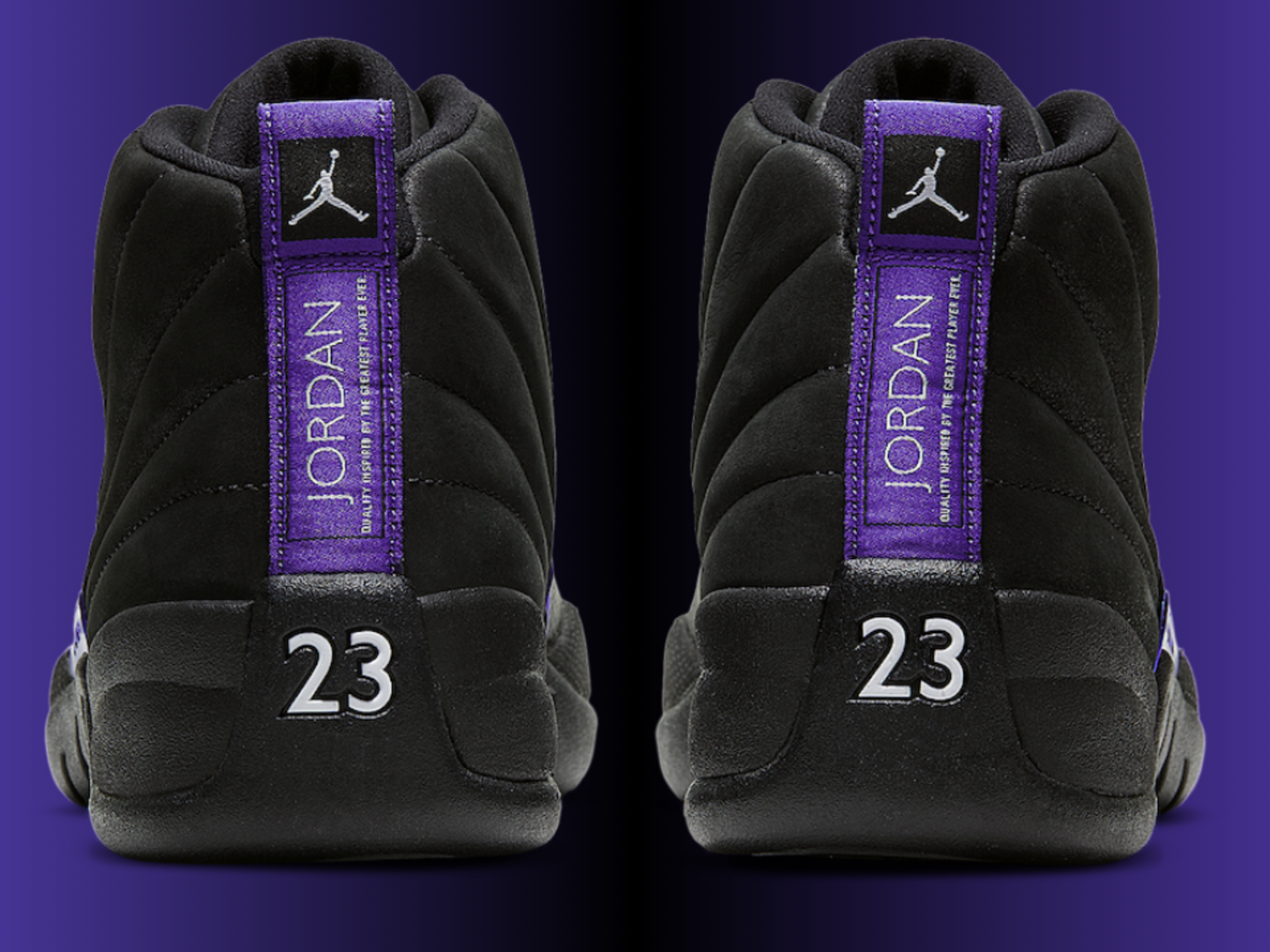 jordan 12 dark concord for sale