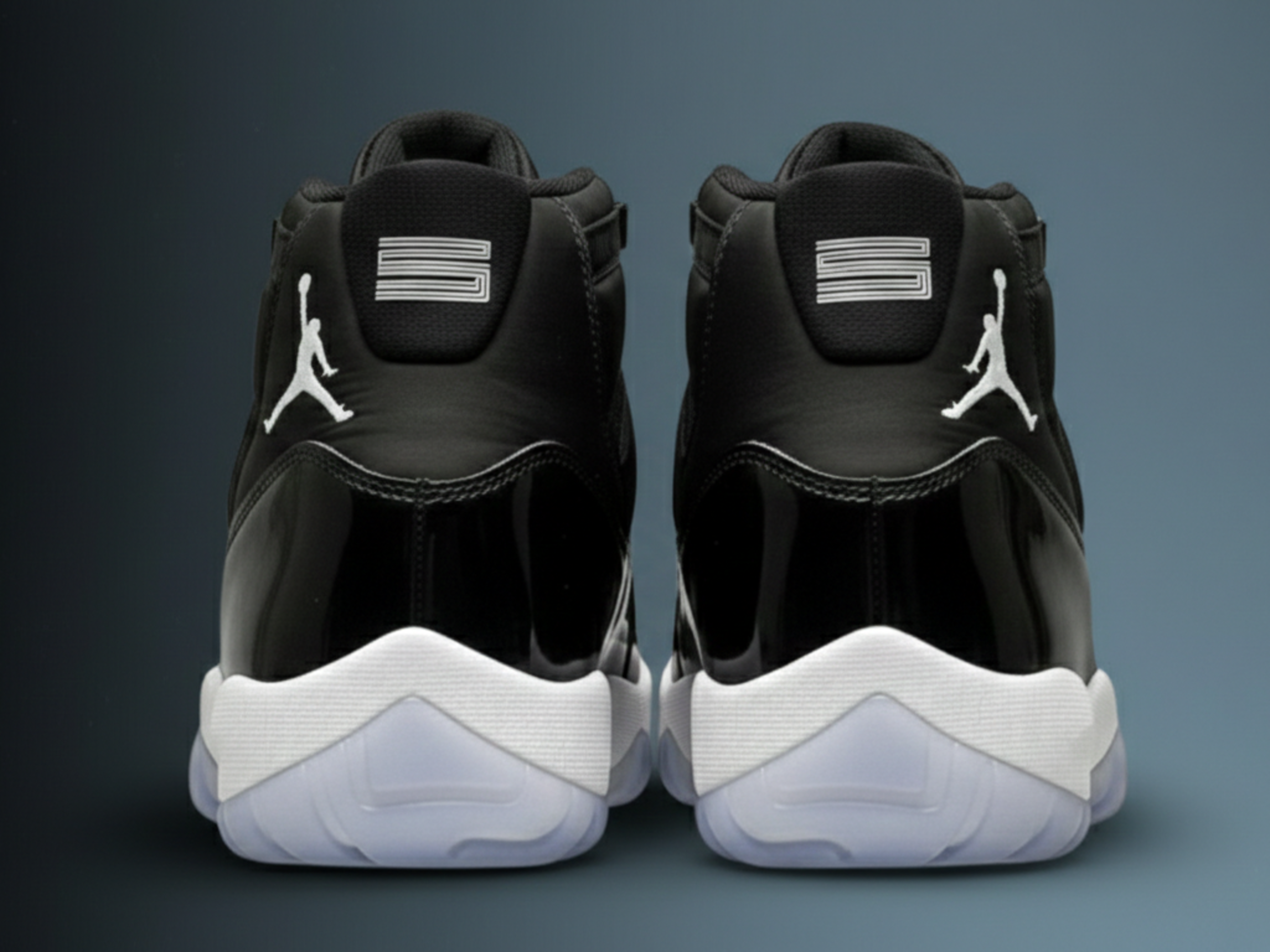 winterized jordan 11