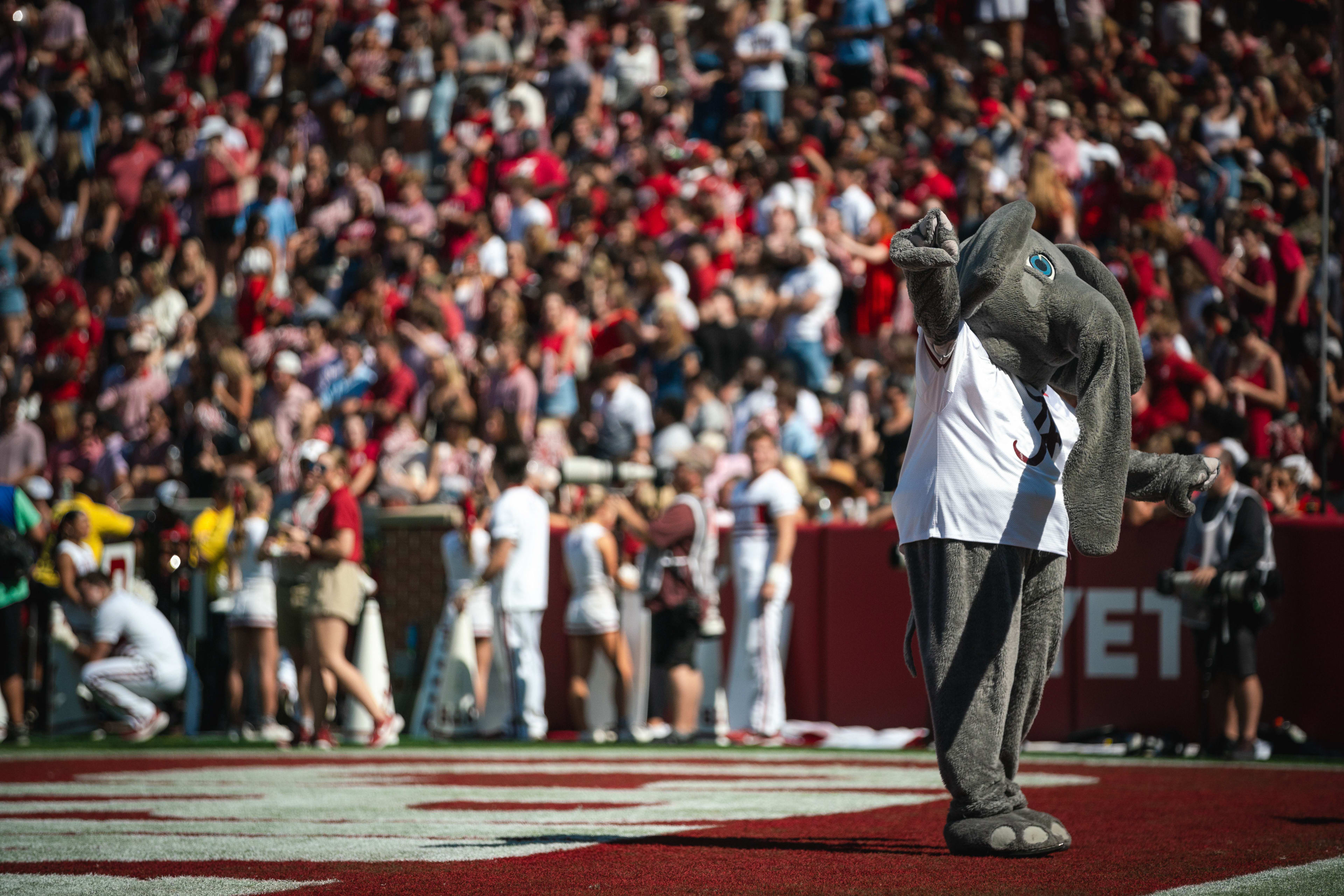 Alabama Crimson Tide mascot Big Al conducts the crowd