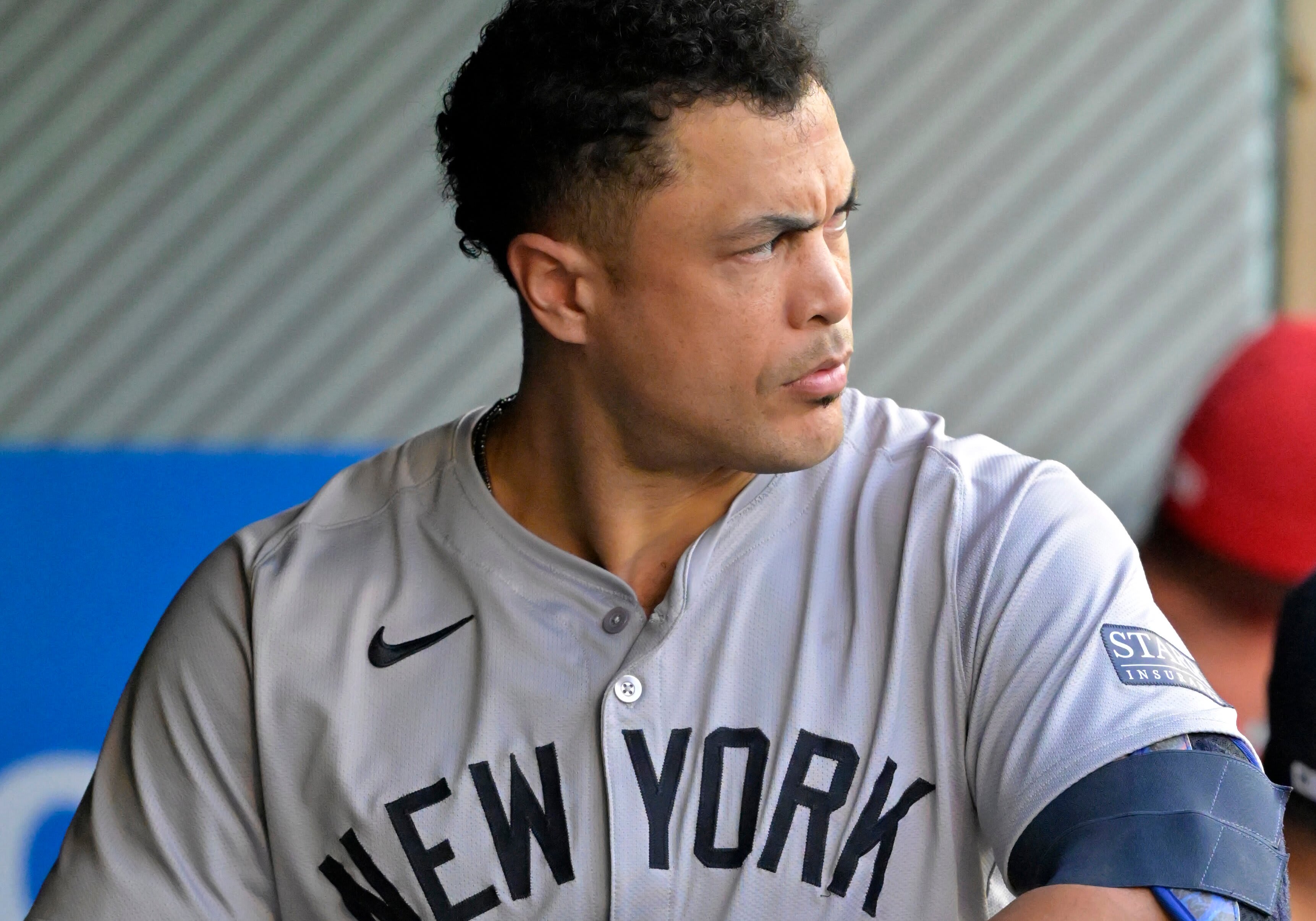 New York Yankees designated hitter Giancarlo Stanton