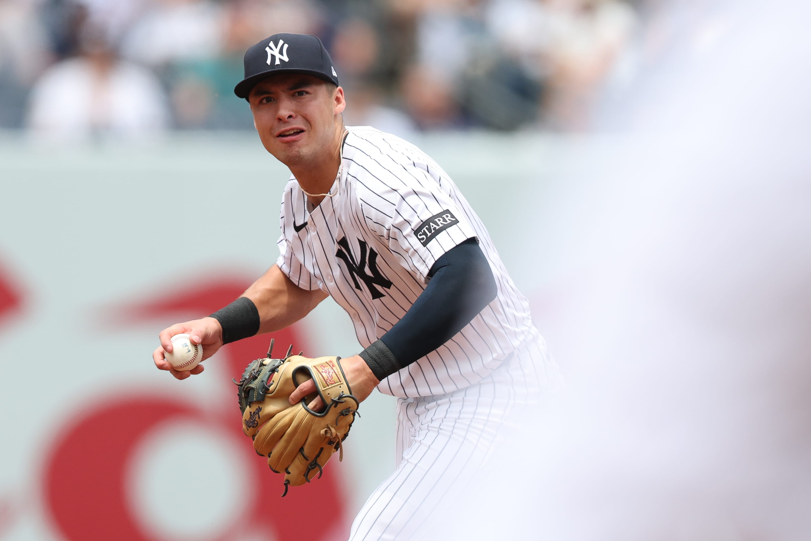 New York Yankees shortstop Anthony Volpe (11)