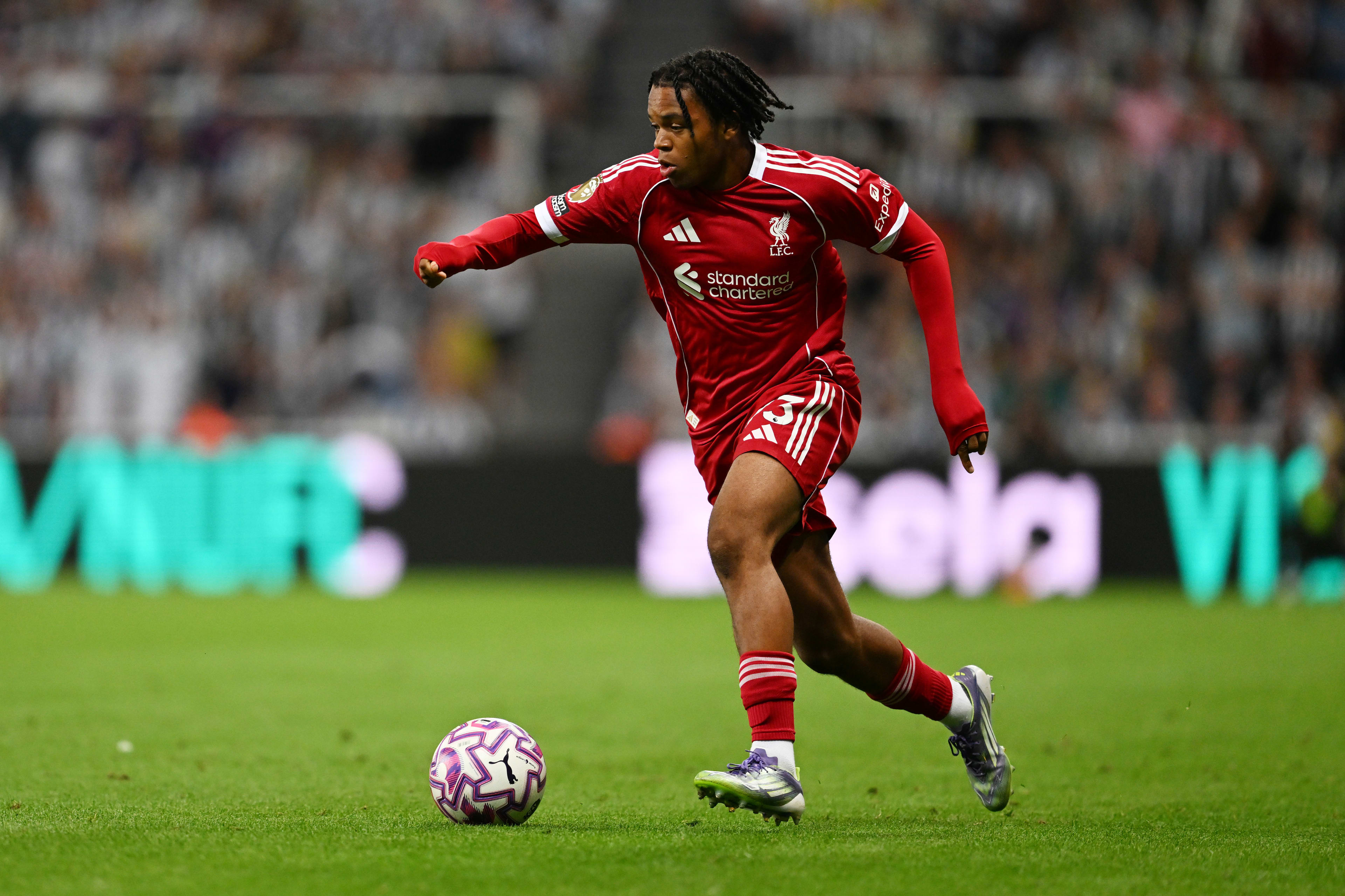 ریو چیما انگوموها عکس