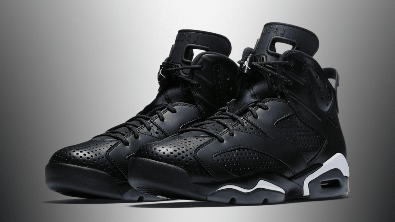エア ジョーダン 6　ブラックキャット Nike Air Jordan 6 Retro Black Cat ナイキ エアジョーダン6