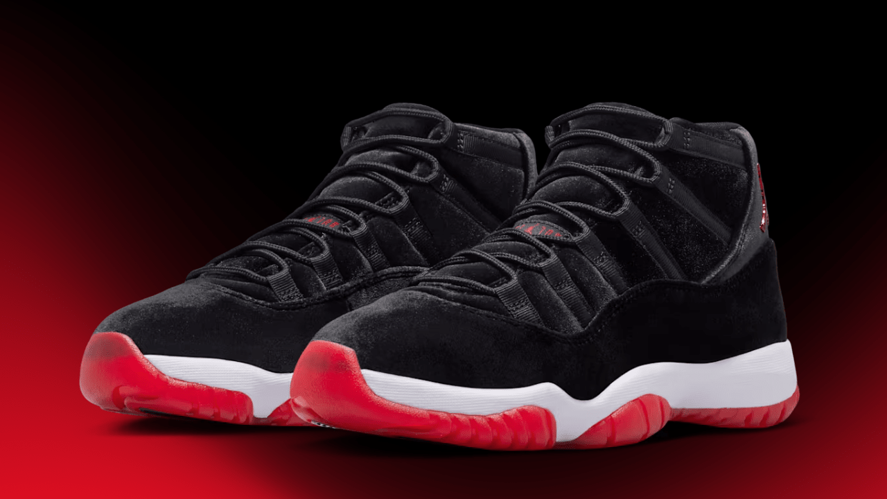 jordan bred 11 size 11