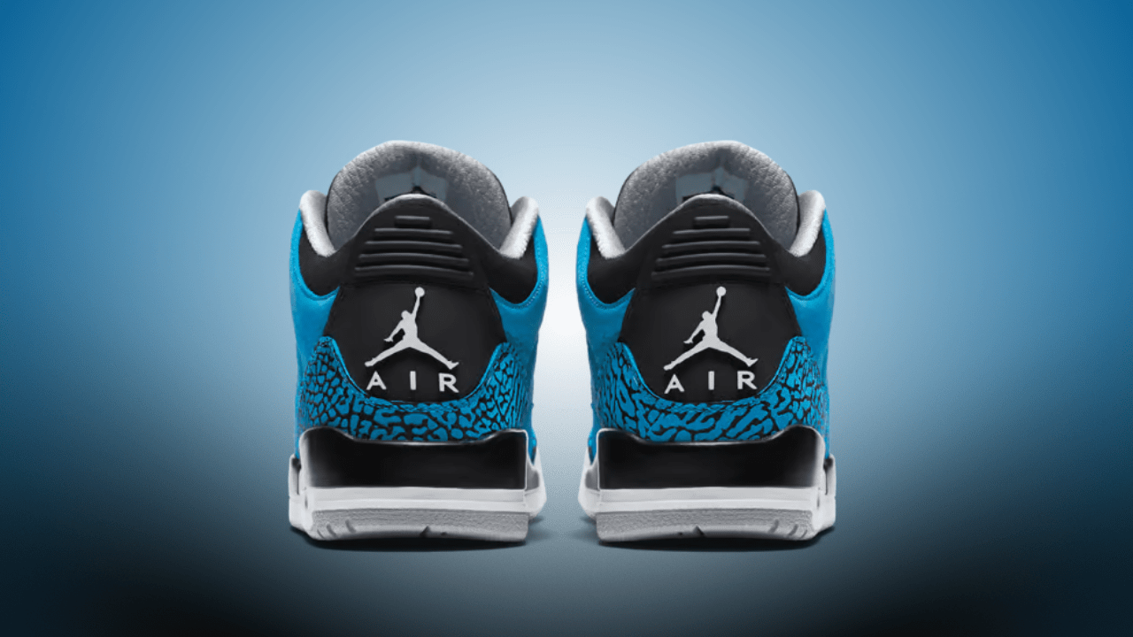 powder jordan 3